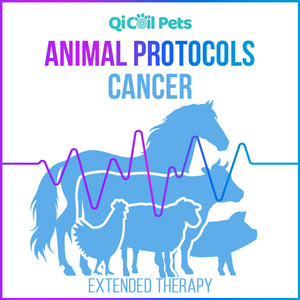 Cancer - Extended Protocol - Animal - Qi Life Store