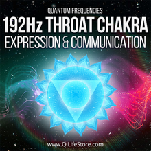 Load image into Gallery viewer, Ultimate Chakra Bundle Quantum Frequencies