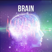 Chargez l'image dans la visionneuse de la galerie, Complete Higher Quantum Frequency Collection - Qi Life Store