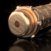 Load image into Gallery viewer, Gold Practitioner System Plus - Qi Life Store