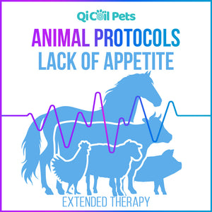 Lack Of Appetite - Extended Protocol - Animal - Qi Life Store