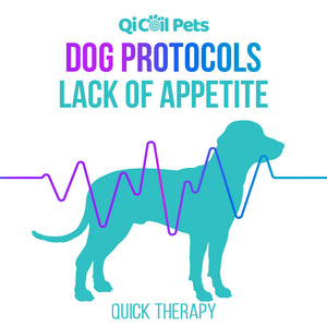 Lack Of Appetite - Quick Protocol - Canine - Qi Life Store