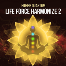 Chargez l'image dans la visionneuse de la galerie, Life Force PLUS Collection - Qi Life Store