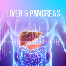 Bild in Galerie-Viewer laden, Organs - Rife+ Frequency Protocols - Qi Life Store