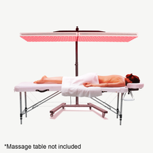 Load image into Gallery viewer, QI LITE™ Professional Red Light Therapy Panel with Stand (Full Body) - Qi Life Store