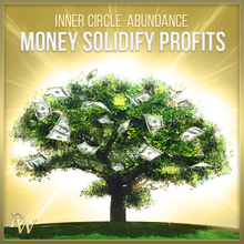 將圖像加載到圖庫查看器中,(Tier 4) Abundance - Money Collection - Qi Life Store