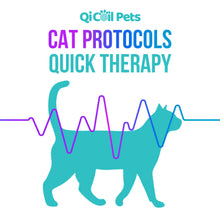 Load image into Gallery viewer, Top 28 Cat Protocols - Approved By Veterinarians - Qi Life Store