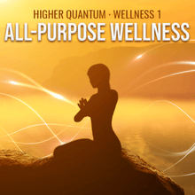 Load image into Gallery viewer, Wellness 1 Collection (Practitioner Kit) Higher Quantum Frequencies