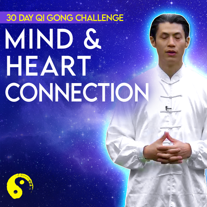 Day 15: Mind and Heart Connection