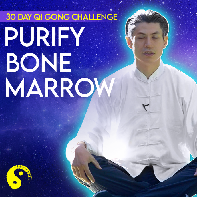 Day 27: Purify Your Bone Marrow With Qi Coils And Aura Coils