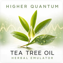 Load image into Gallery viewer, Herbs and Supplements Bundle