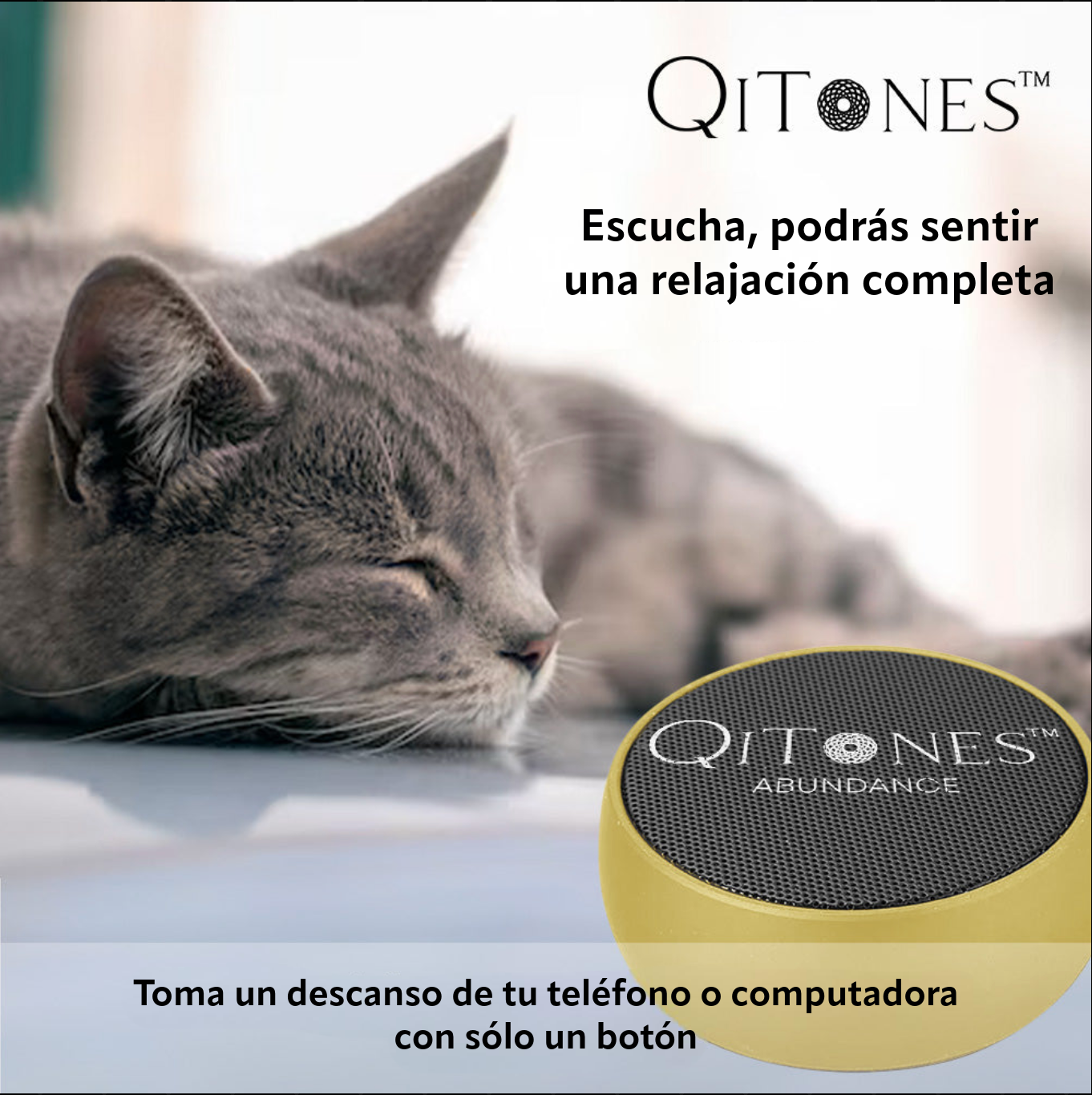 Sistema de Terapia Qi Tones™: Paquete de Abundancia