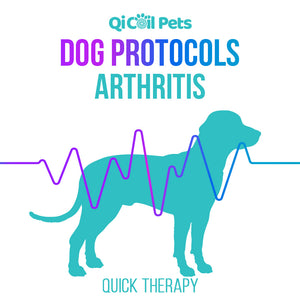 Arthritis - Quick Protocol - Canine