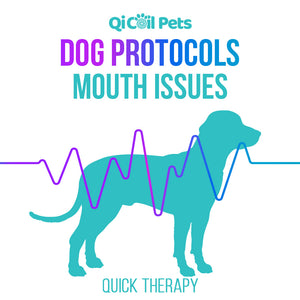 Mouth Issues - Quick Protocol - Canine