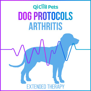 Arthritis - Extended Protocol - Canine