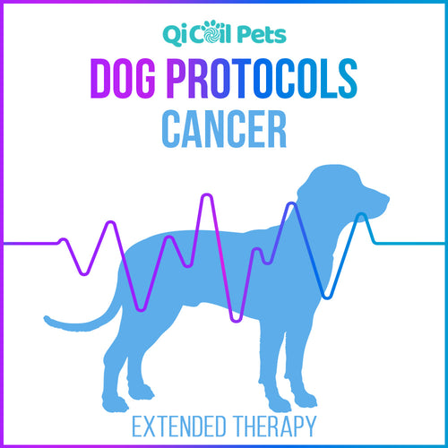 Cancer - Extended Protocol - Canine