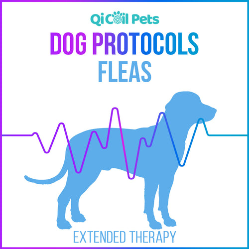 Fleas - Extended Protocol - Canine