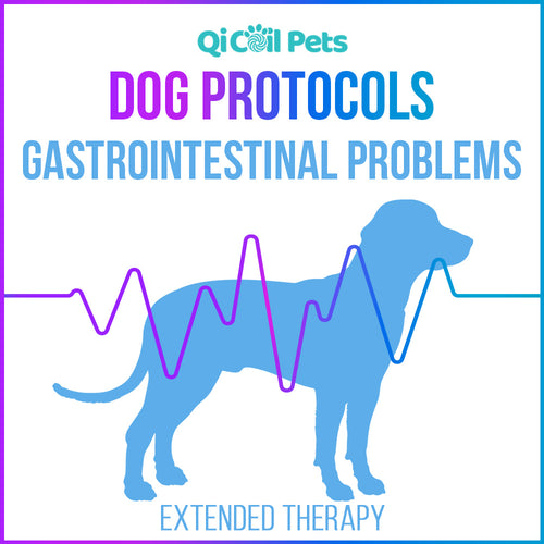 Gastrointestinal Problems - Extended Protocol - Canine