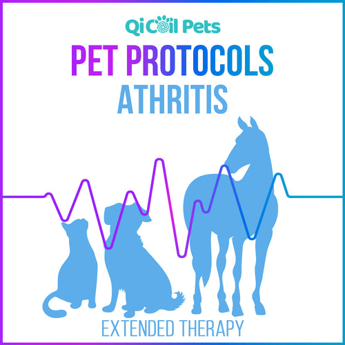 Arthritis Extended Protocol