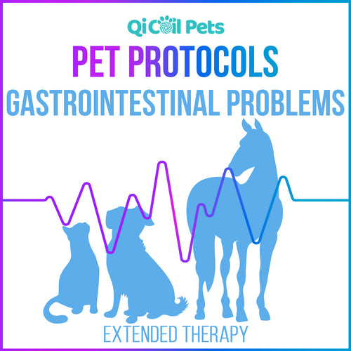 Gastrointestinal Problems - Extended Protocol