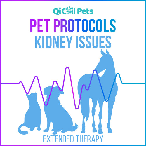 Kidney Issues - Extended Protocol