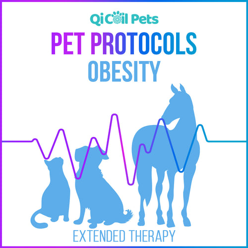 Obesity - Extended Protocol