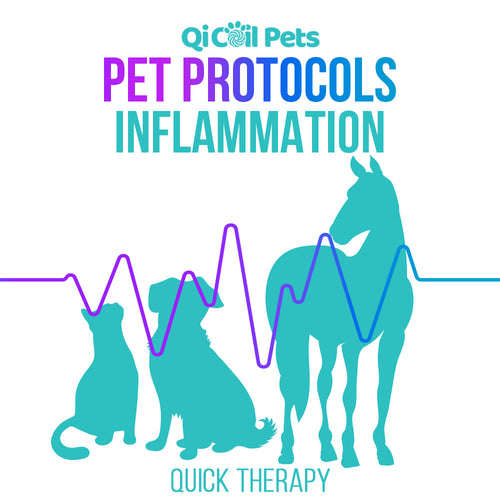 Inflammation - Quick Protocol