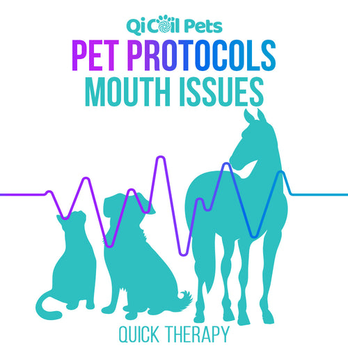 Mouth Issues - Quick Protocol