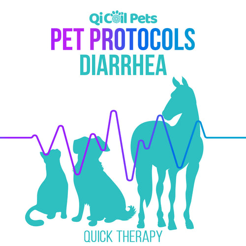 Diarrhea - Quick Protocol