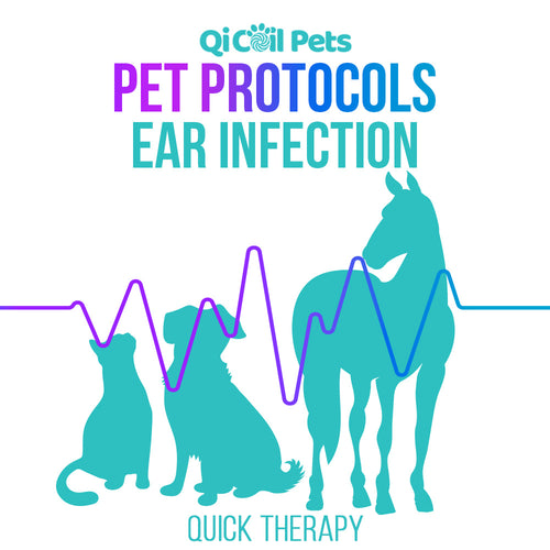 Ear Infection - Quick Protocol