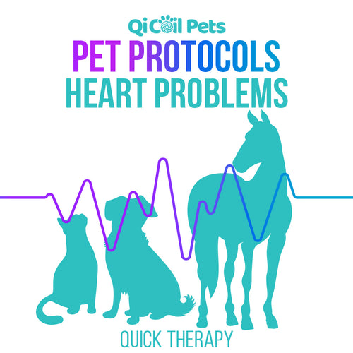 Heart Problems - Quick Protocol