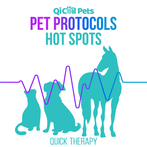 Hot Spots - Quick Protocol