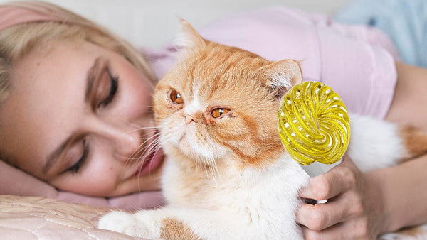 Complete Protocol Bundle - Approved By Veterinarians
