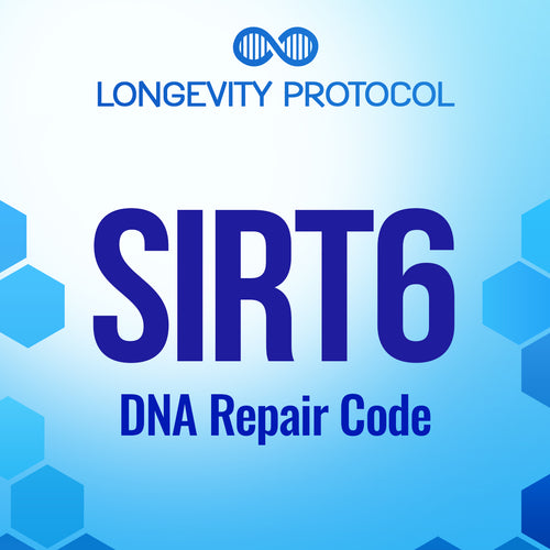SIRT6: DNA Repair Code