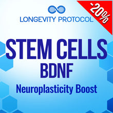 Load image into Gallery viewer, Stem Cells - BDNF: Neuroplasticity Boost
