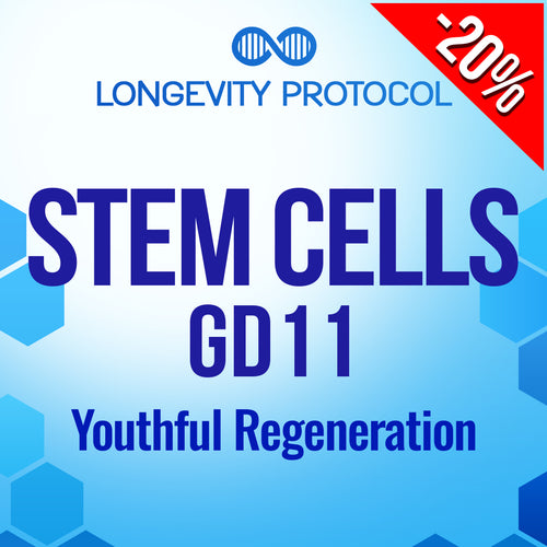 Stem Cells – GD11: Youthful Regeneration