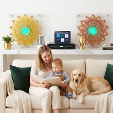 Load image into Gallery viewer, Qi Coil™ Aura Pro Medbed System + Resonant Console Advanced