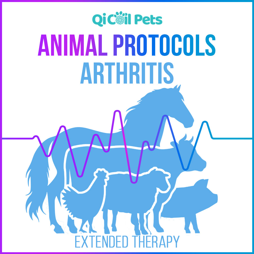 Arthritis Extended Protocol - Animal - Qi Life Store 