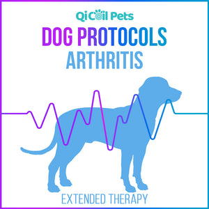 Arthritis - Extended Protocol - Canine - Qi Life Store 