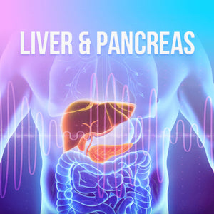 Liver and Pancreas
