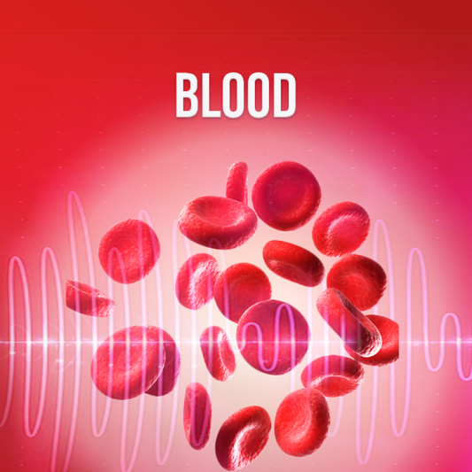 Blood - Rife+ Frequency Protocols - Qi Life Store 