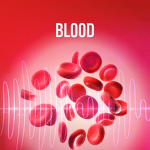 Blood - Rife+ Frequency Protocols - Qi Life Store 