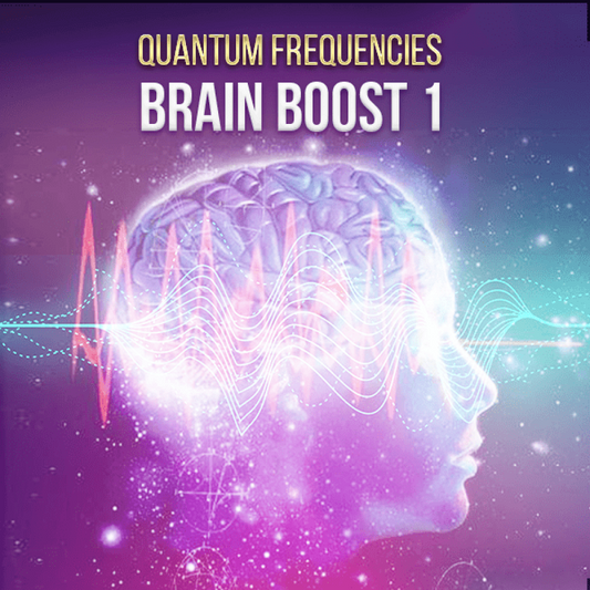 Brain Booster 1: Increase Brain Power - Qi Life Store 