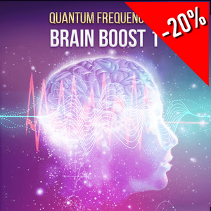 Brain Booster 1: Increase Brain Power - Qi Life Store 