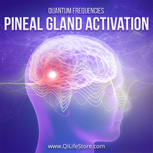 Load image into Gallery viewer, Brain Booster 1: Increase Brain Power - Qi Life Store 