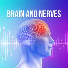 Cargar imagen en el visor de la galería, Brain &amp; Nerves Rife Frequencies