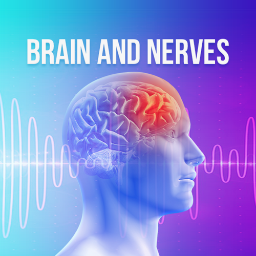 Brain & Nerves - Rife+ Frequency Protocols - Qi Life Store 