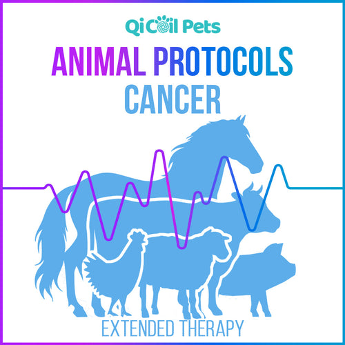 Cancer - Extended Protocol - Animal - Qi Life Store 