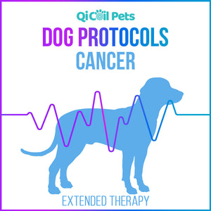Cancer - Extended Protocol - Canine - Qi Life Store 