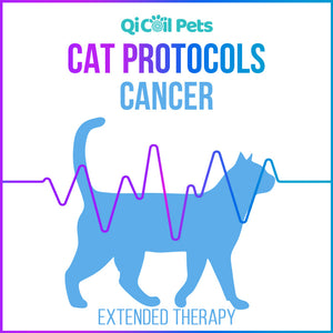Cancer - Extended Protocol - Feline - Qi Life Store 